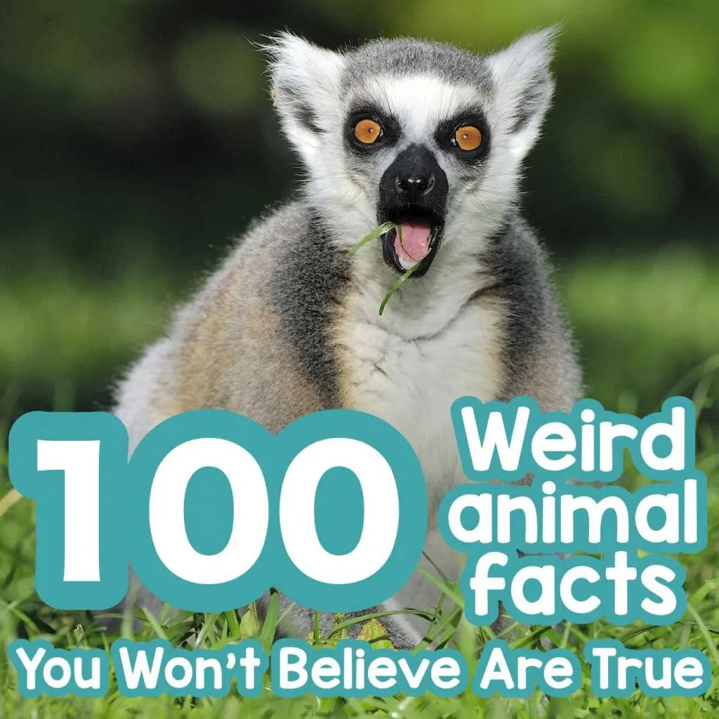 100 Weirdest Facts About Animals You Won't Believe Are True - Factopolis
